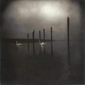 Conference of the birds